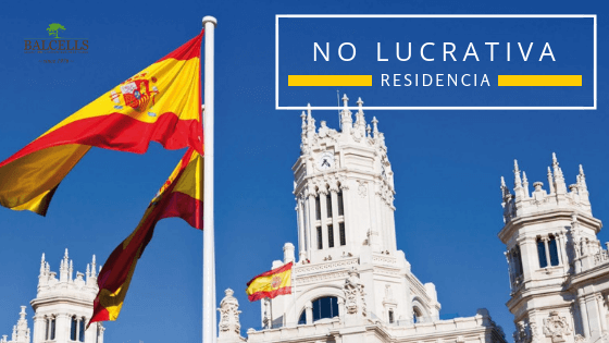 Visa No lucrativa en España: requisitos y solicitud