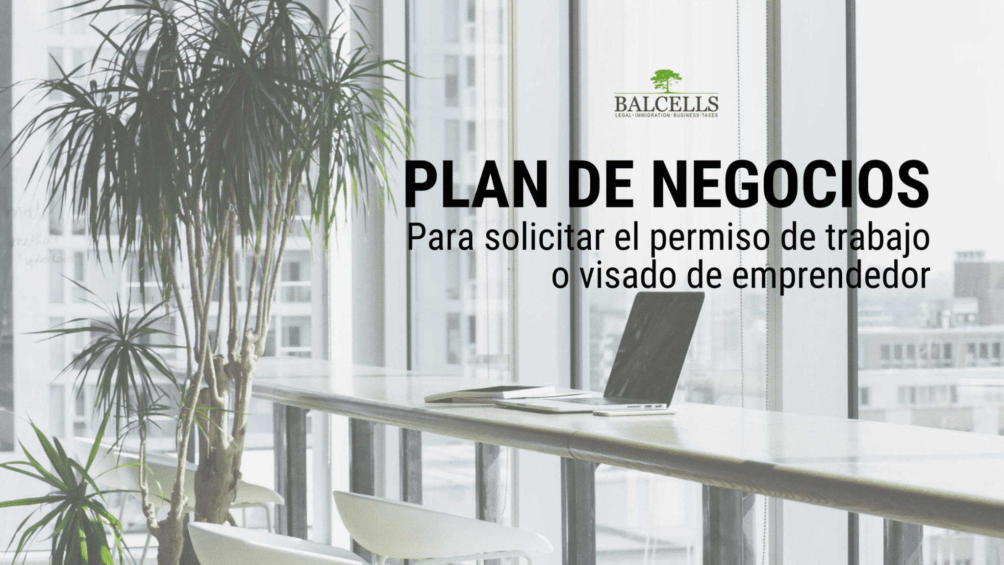 Plan de negocios para trámites de extranjería