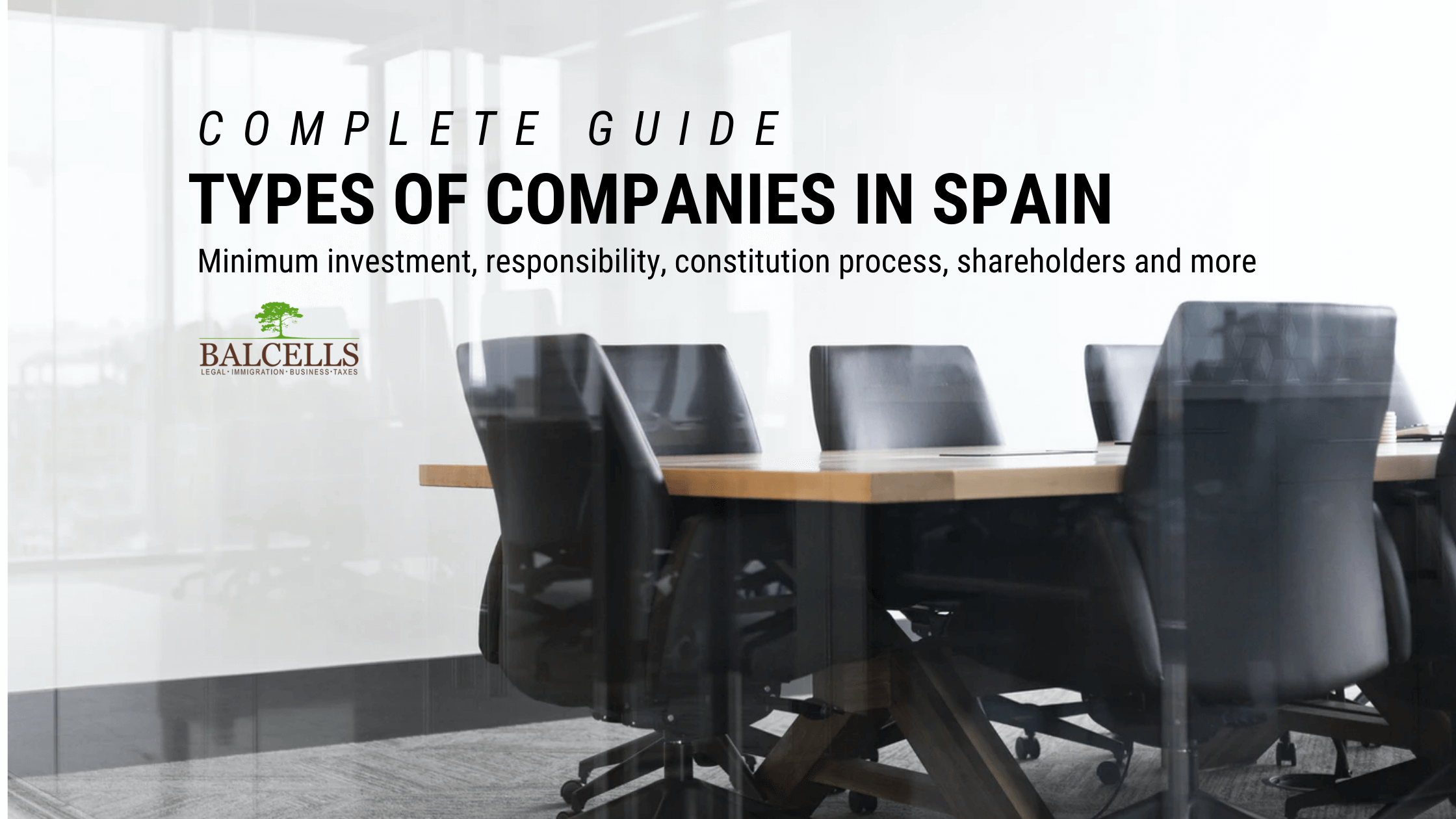 Types of Companies and Business Structures in Spain