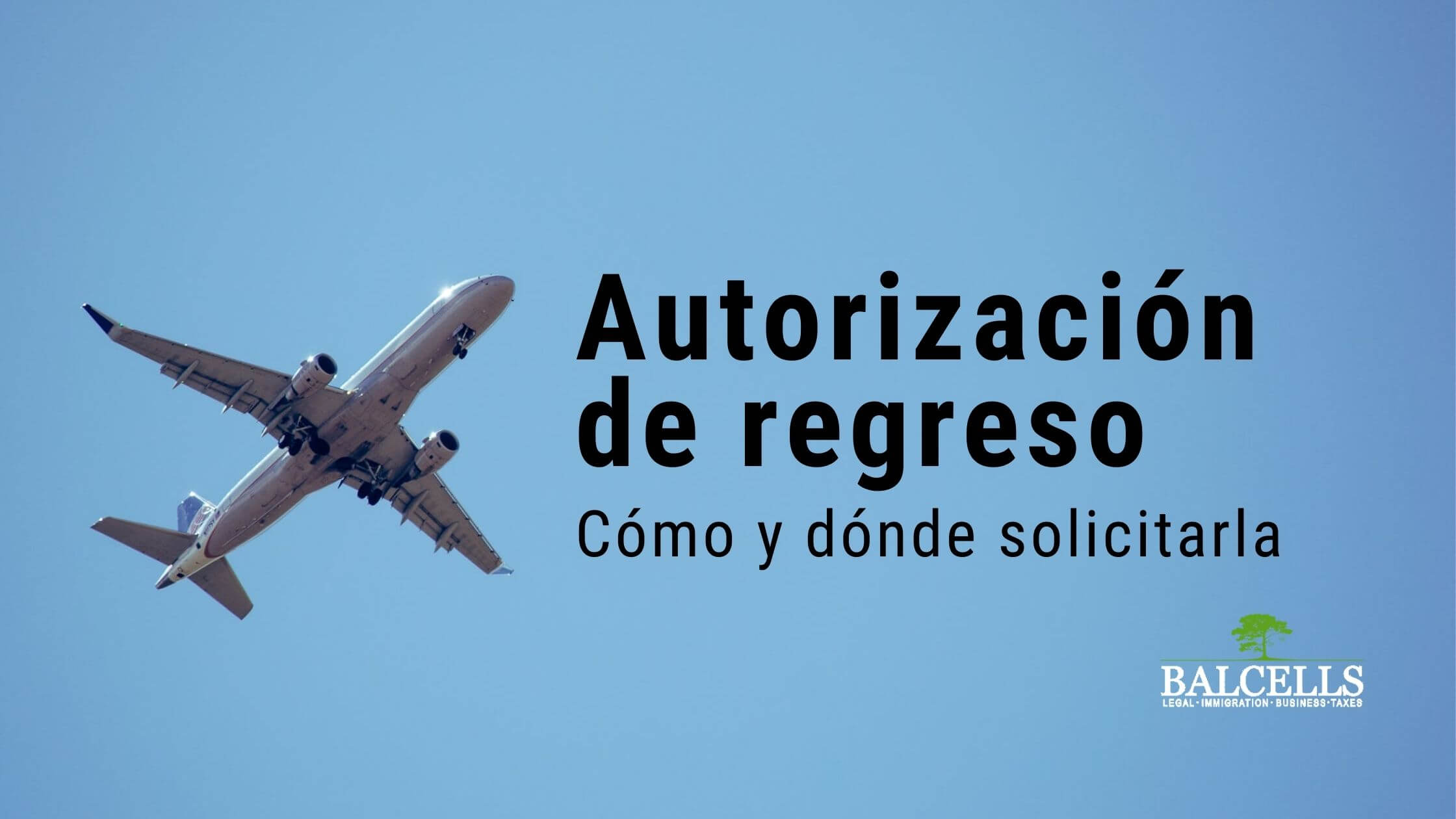 Autorización de Regreso en España: Cómo pedir cita, requisitos y más