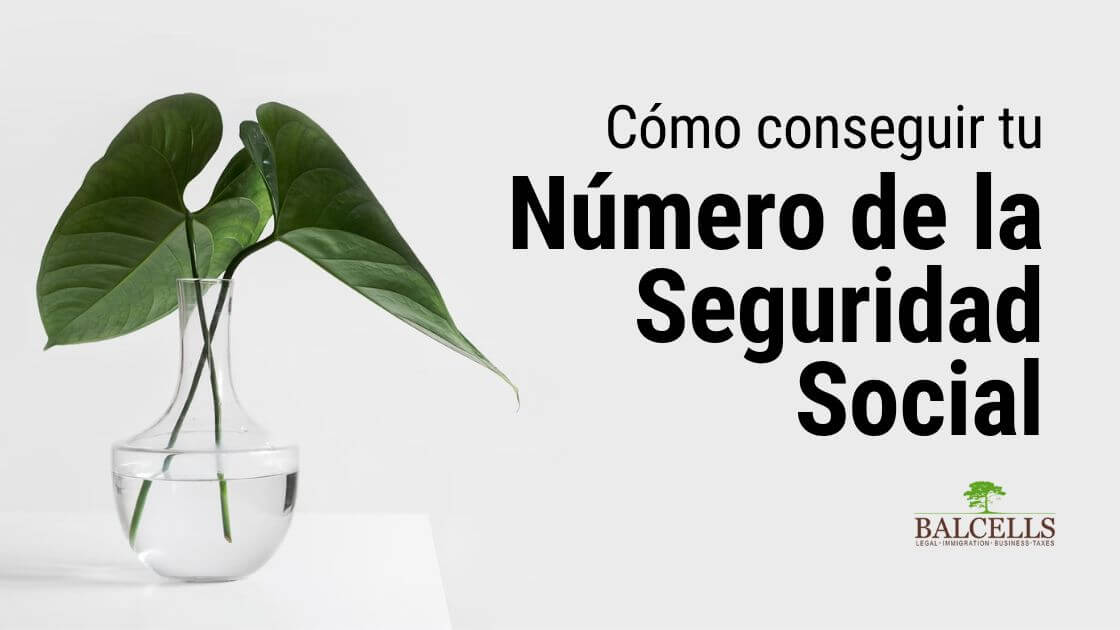 Cómo Conseguir el Número de la Seguridad Social en España